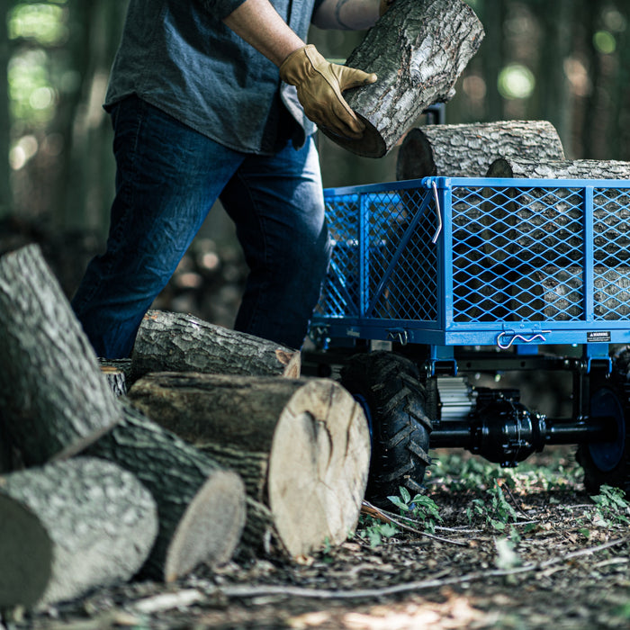 Landworks Electric Utility Service Cart