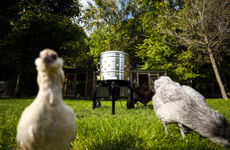 Top Mistakes to Avoid When Maintaining Your Chicken Plucker Machine