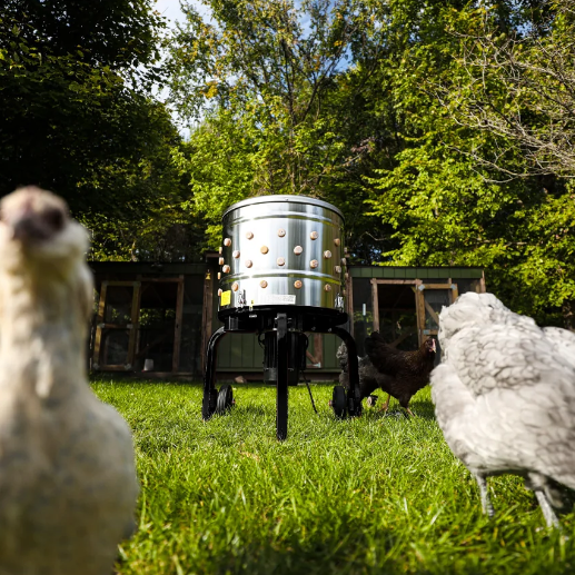 Top Mistakes to Avoid When Maintaining Your Chicken Plucker Machine