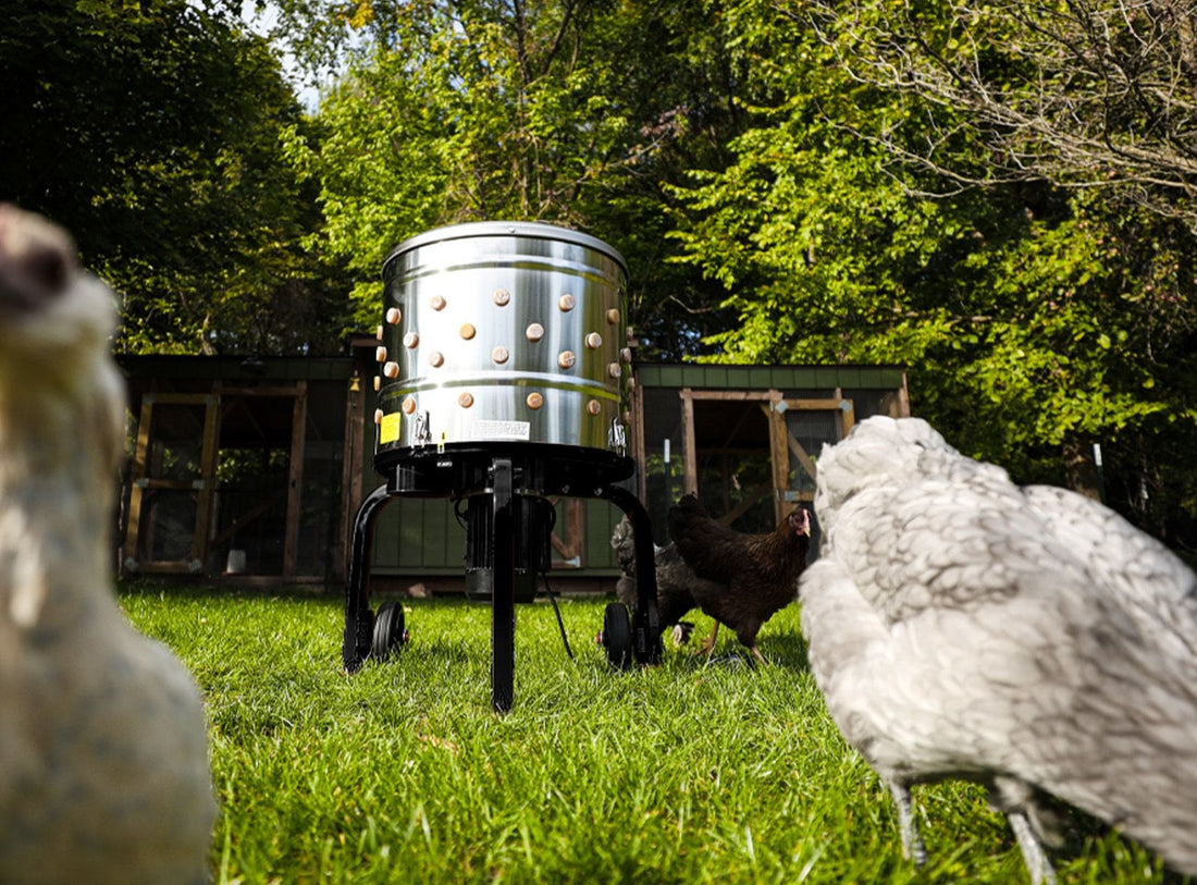 Kitchener Electric Chicken Plucker
