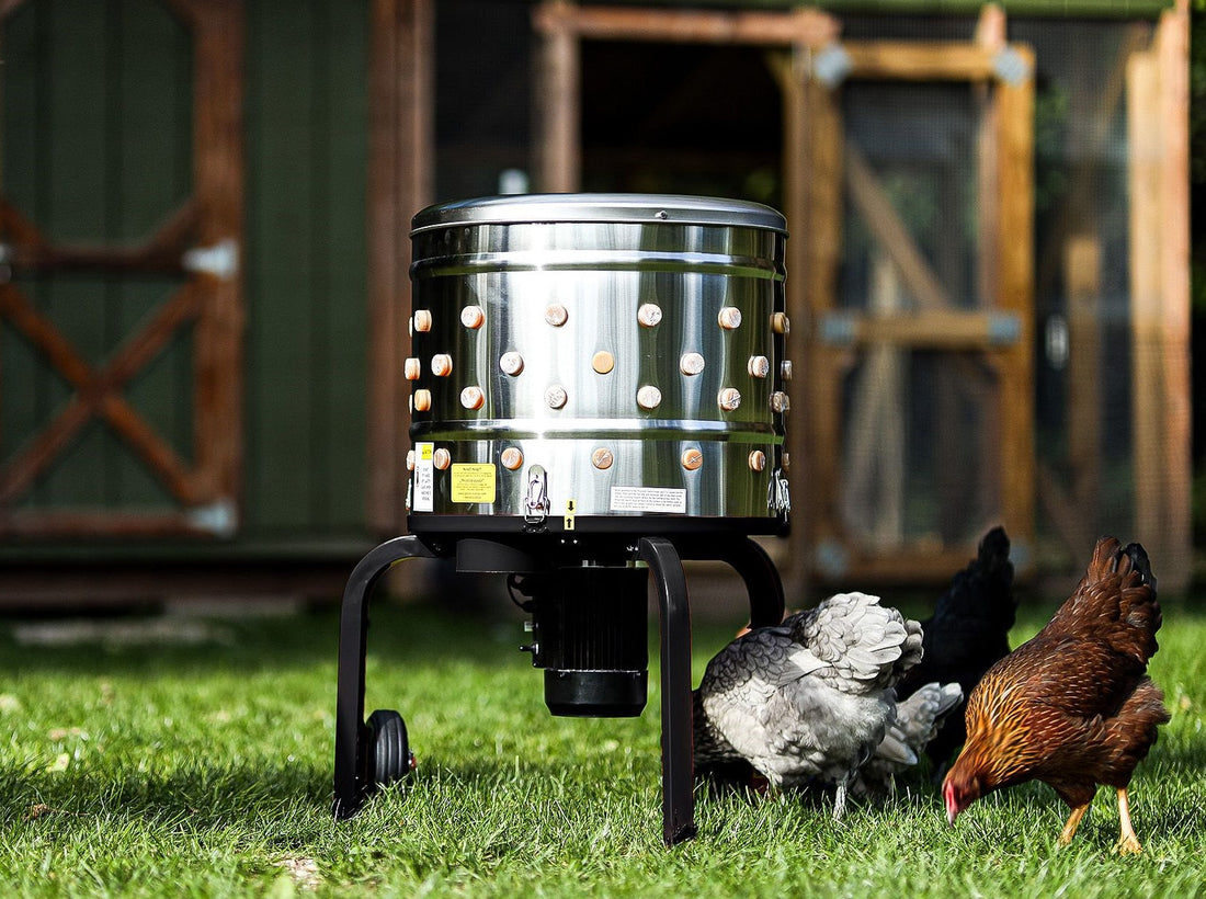 Kitchener Electric Chicken Plucker Essentials for Buyers