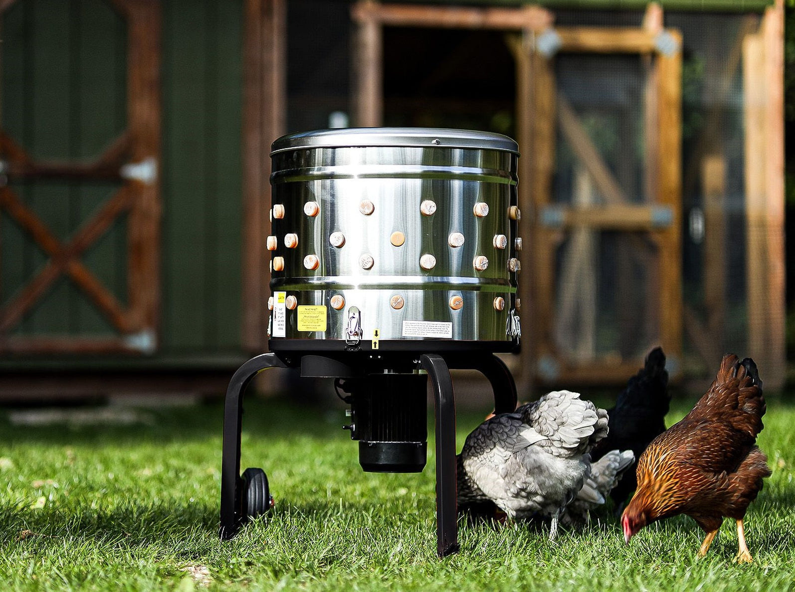 Kitchener Electric Chicken Plucker Essentials for Buyers | Great Circle US
