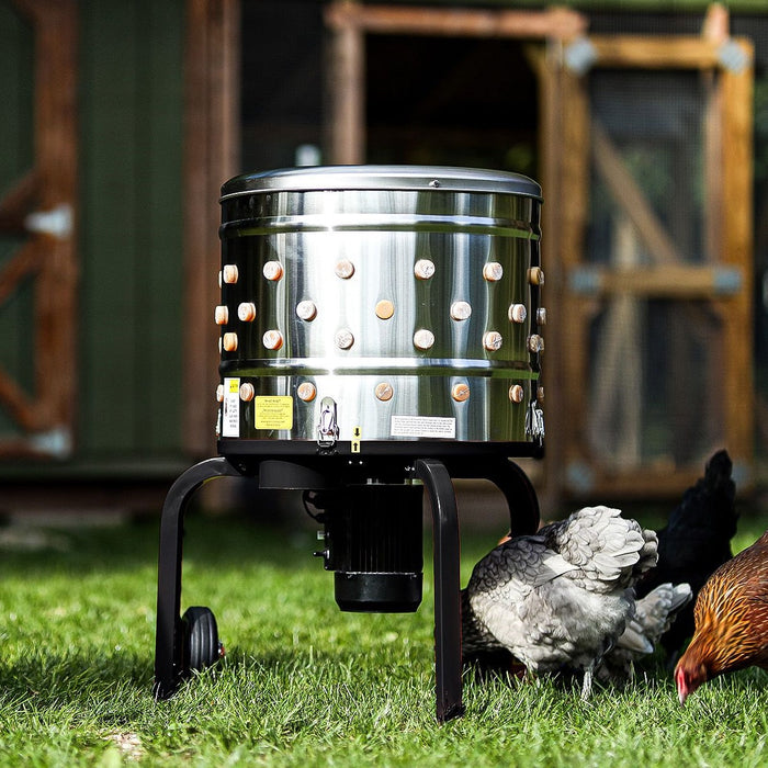 Kitchener Electric Chicken Plucker Essentials for Buyers